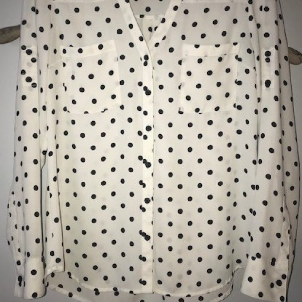 Express Sheer Polka-Dot Blouse
